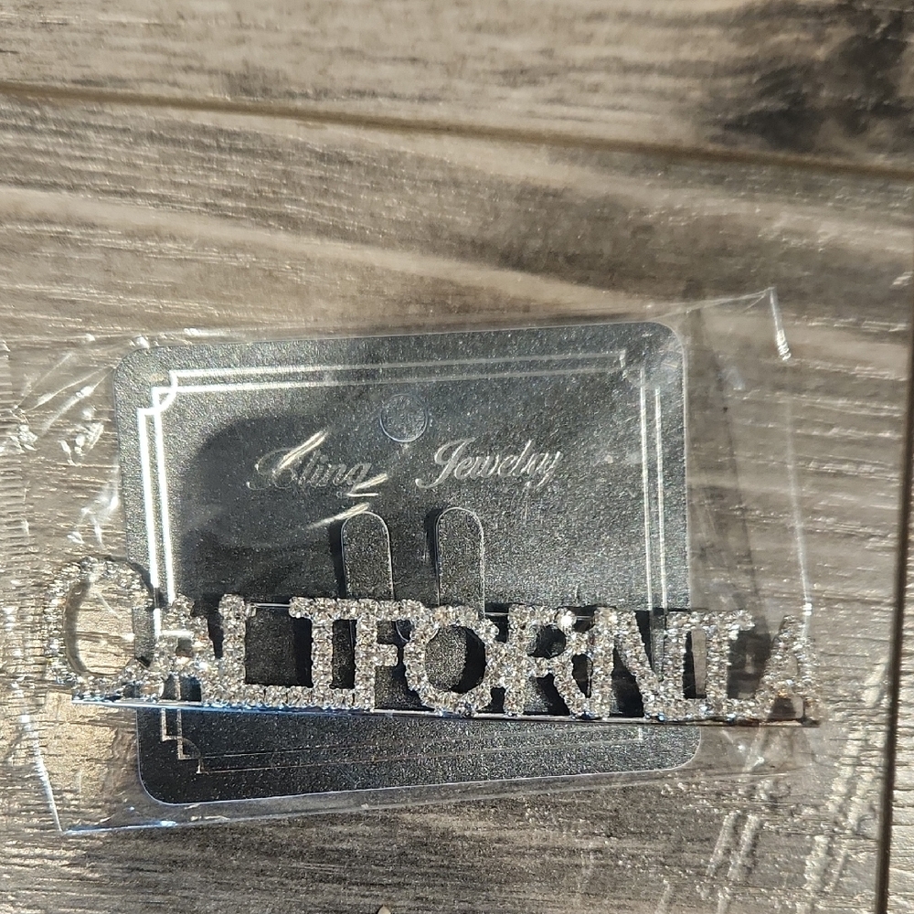 NWT Bling Jewelry Silver Sparkling 'California' Brooch 4" Across